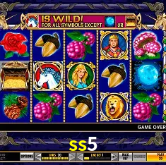 Descubra o Mundo do Cassino Online com ss5